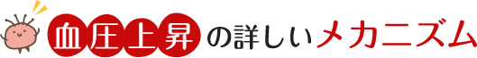 血圧上昇の詳しいメカニズム