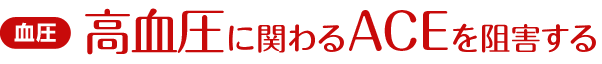 血圧 高血圧に関わるACEを阻害する