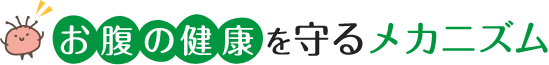 お腹の健康を守るメカニズム