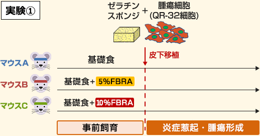 実験1