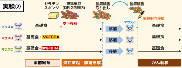 実験2