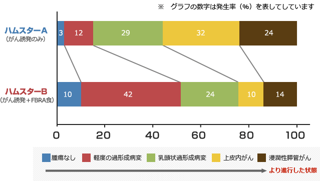 膵臓の病変と発生率に対するFBRA（ふぶら）の効果