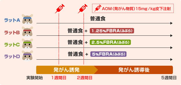 ラットのグループ分け