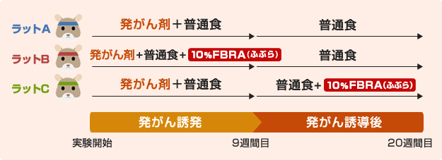 ラットのグループ分け