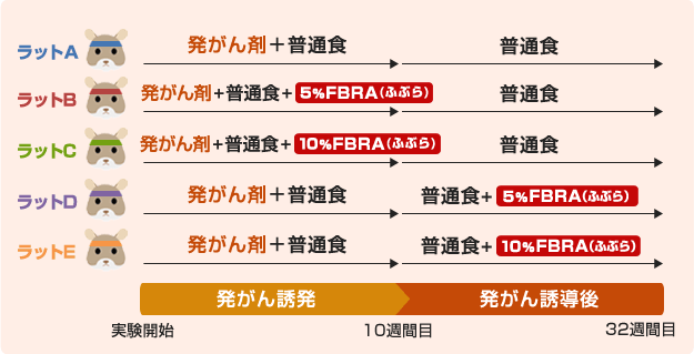 ラットのグループ分け