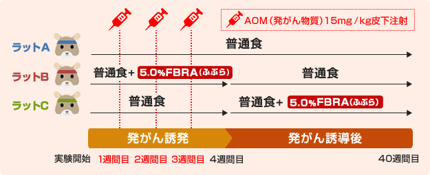 ラットのグループ分け