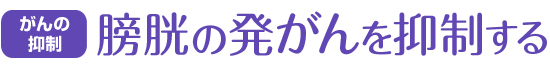 がんの抑制 膀胱の発がんを抑制する