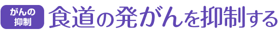 がんの抑制 食道の発がんを抑制する