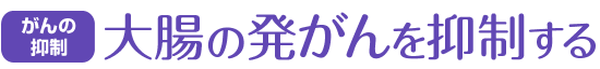 がんの抑制 大腸の発がんを抑制する