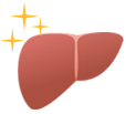肝炎の抑制 肝炎発症を緩和する