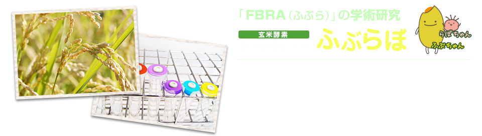 1971年に「手軽な玄米食」として、玄米と米糠を麹菌で発酵させた食品「FBRA（ふぶら）」が誕生しました。食と健康研究所ふぶらぼでは、FBRA（ふぶら）が健康にどう働くかの研究結果をご紹介します。