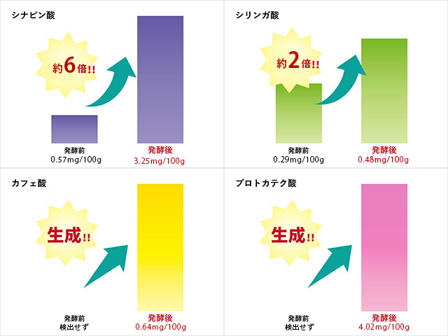 抗酸化作用の増加